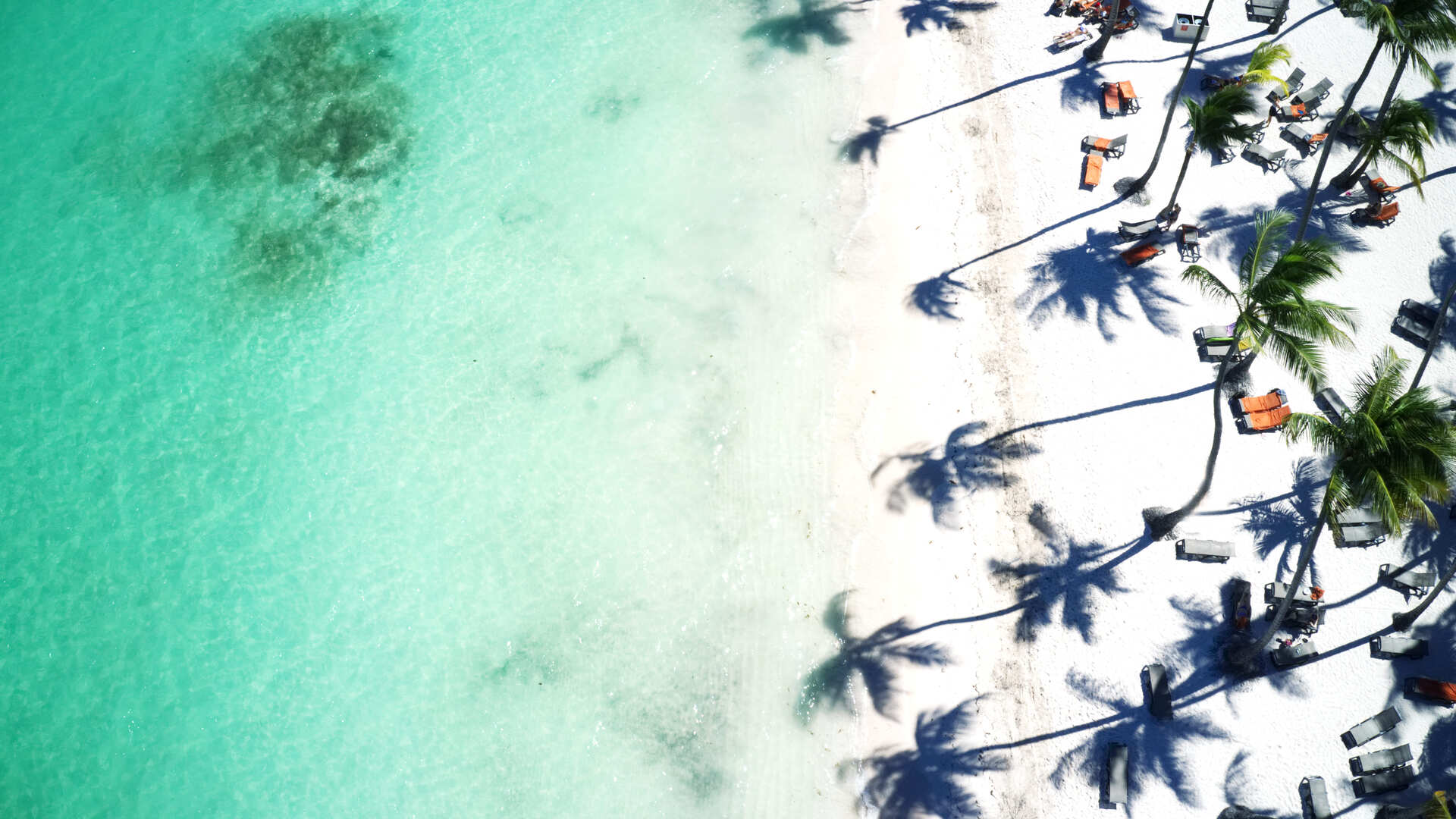 Punta Cana beach
