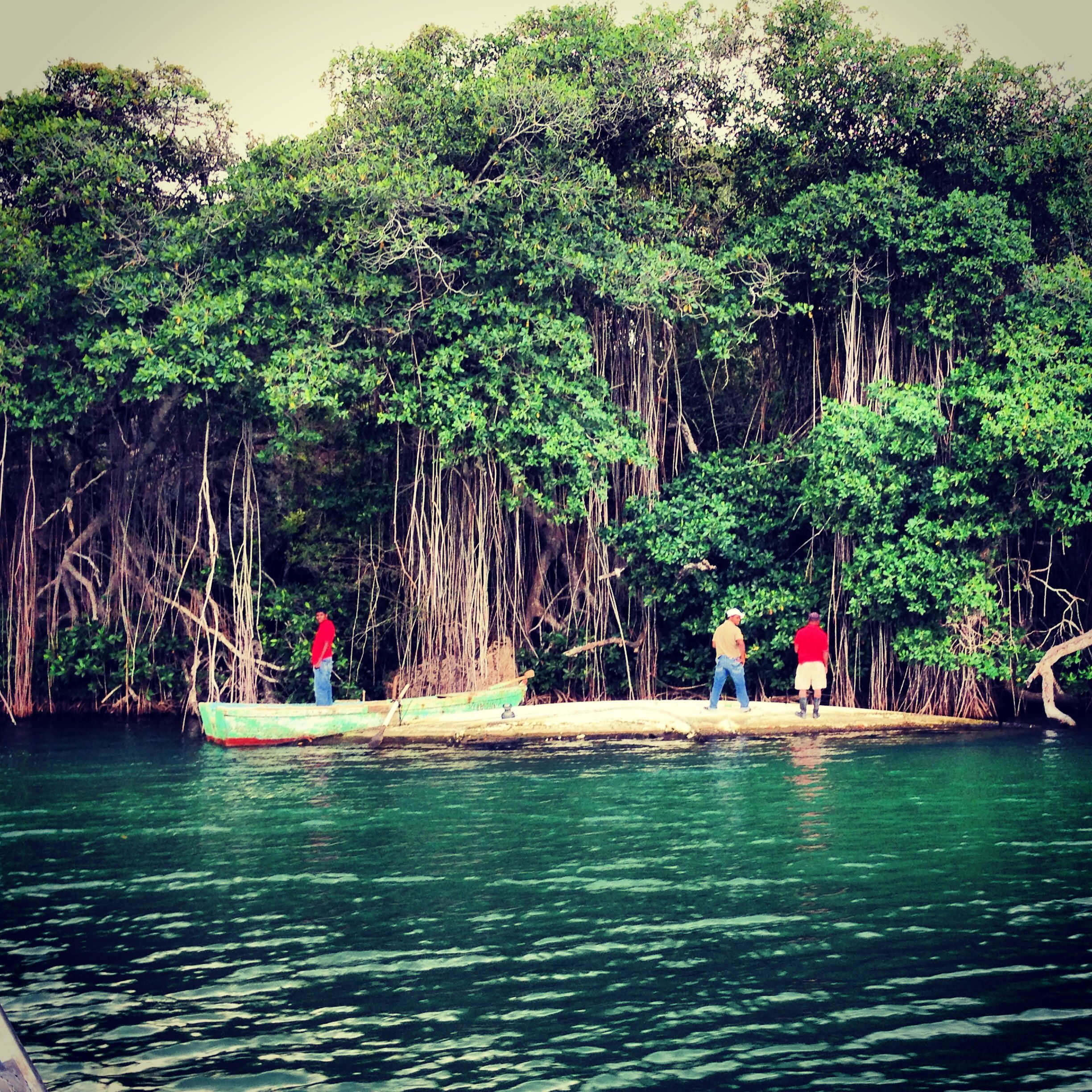 Cumayasa river, La Romana