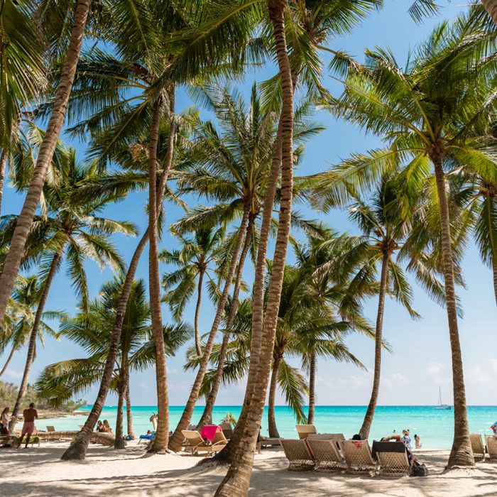 Saona snorkeling excursion