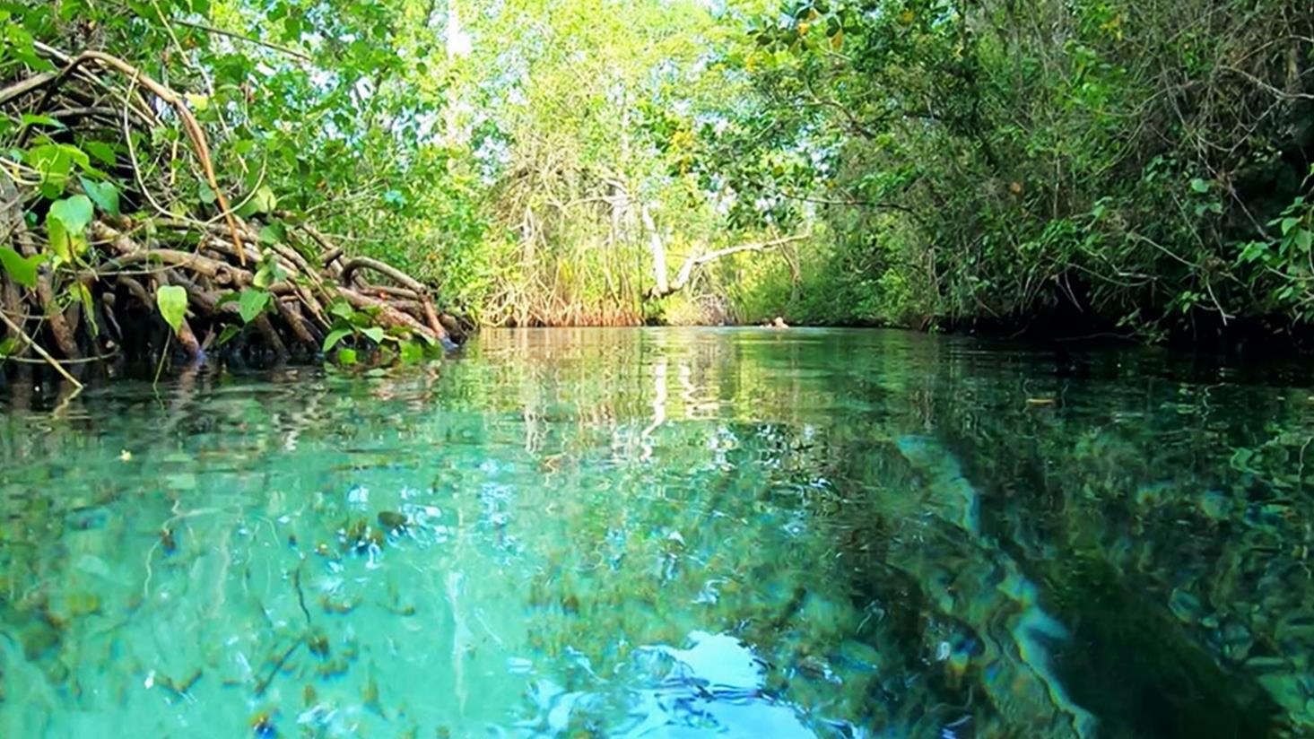 Playa Rincón, Samaná