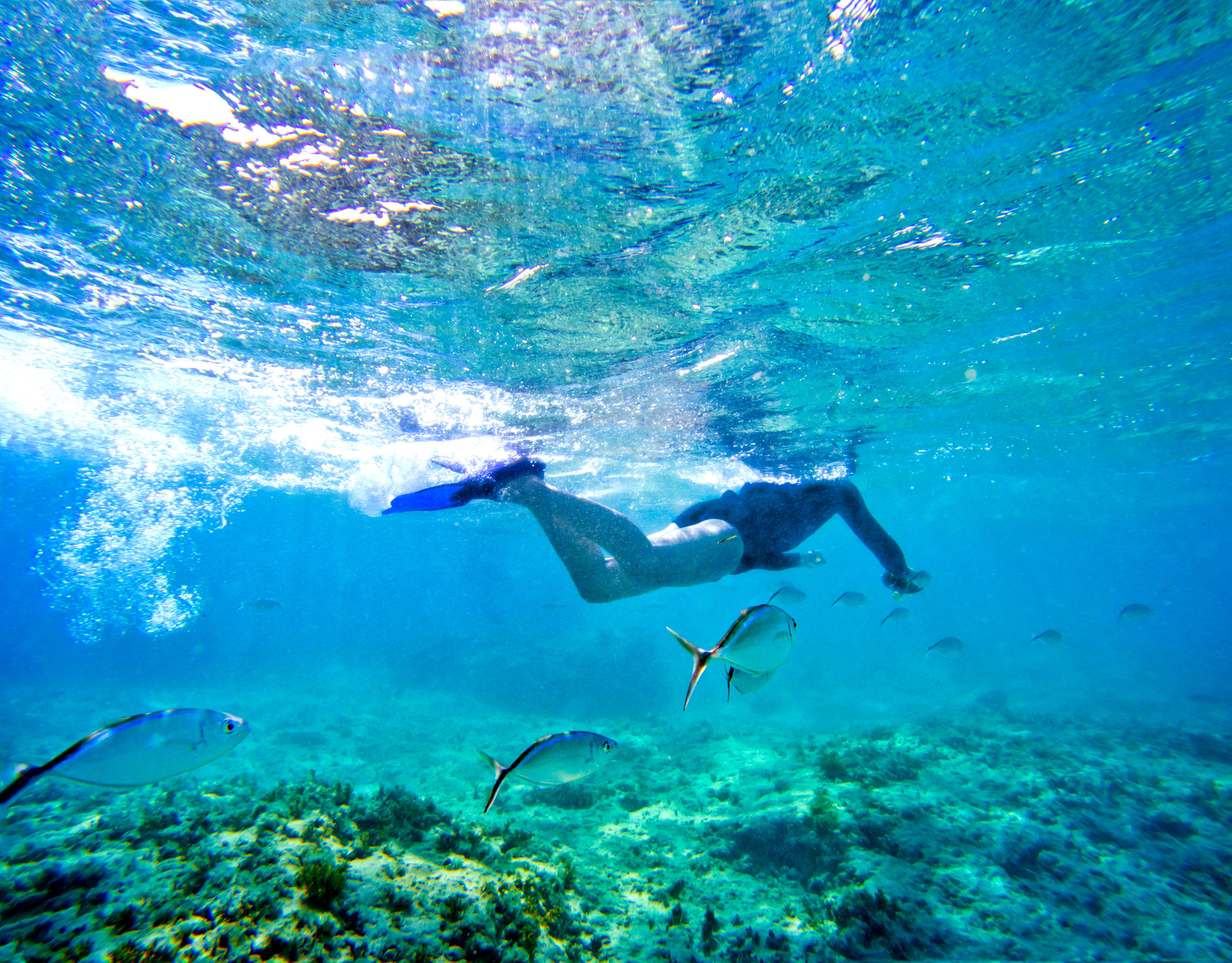 Boat trip with Seaklub from Punta Cana