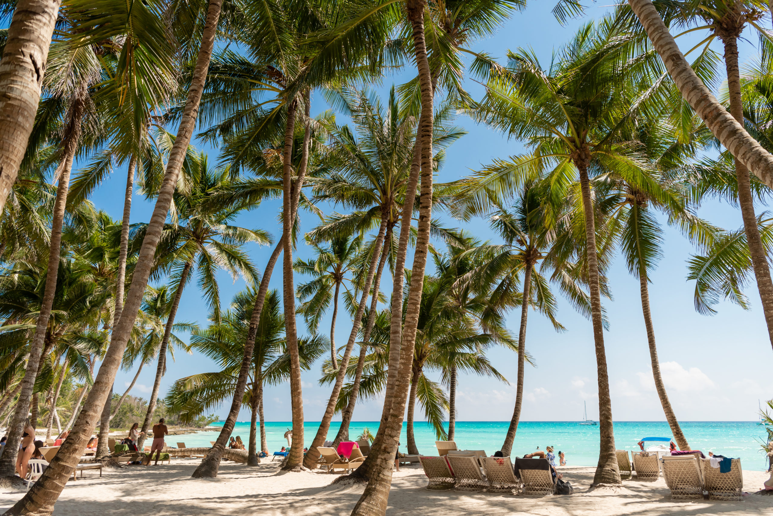 Isla Saona